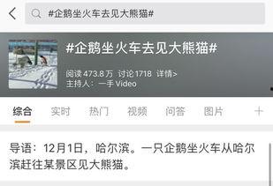 今日爆料热门话题大全,揭秘热门话题大全背后的惊人内幕